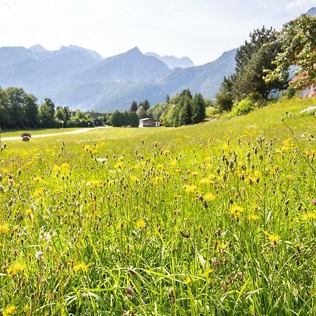 Pension St. Nikolaus Golling an der Salzach Εξωτερικό φωτογραφία